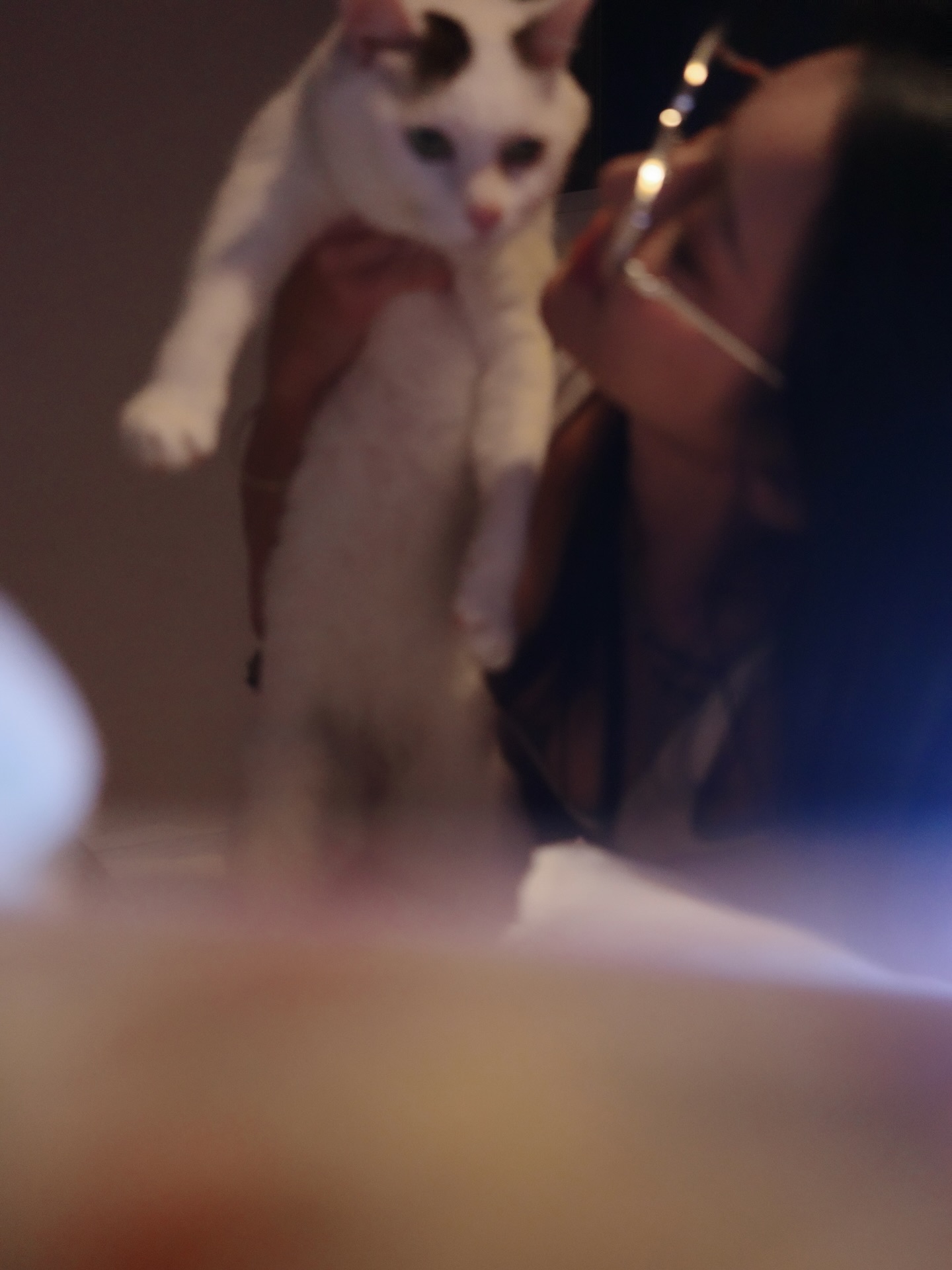 venus___27
