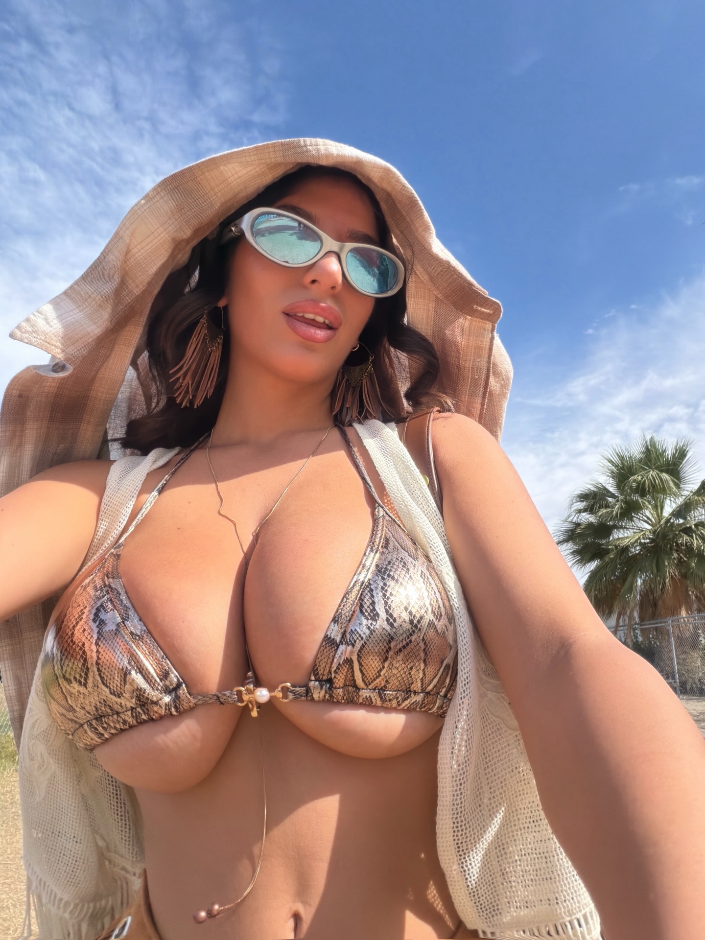 ika_dauria