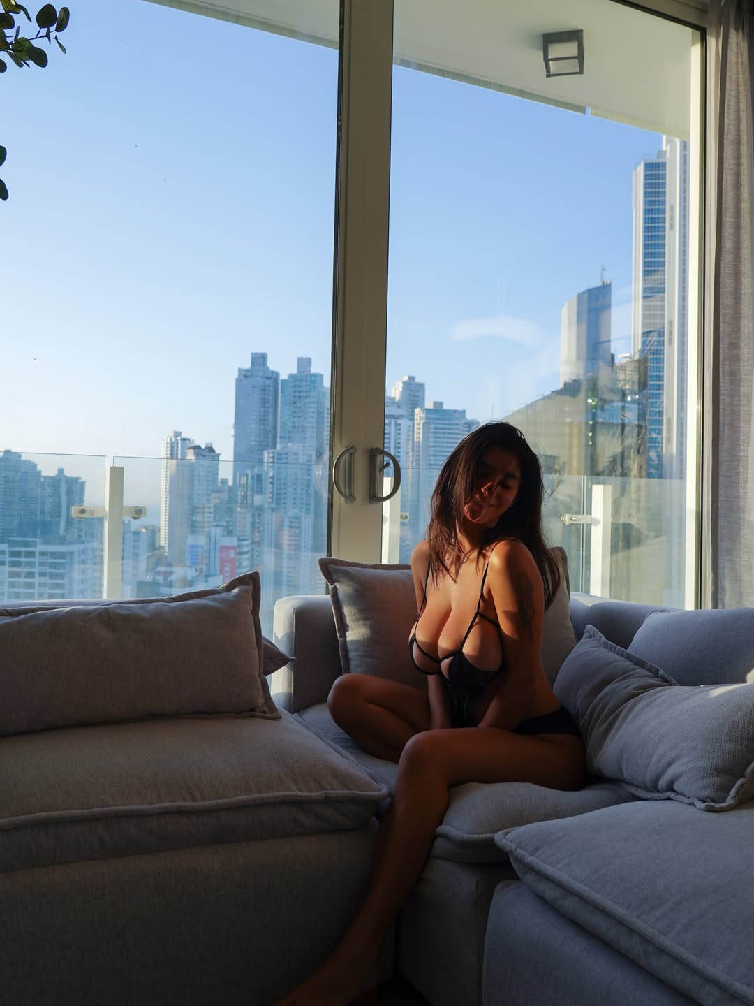 ika_dauria