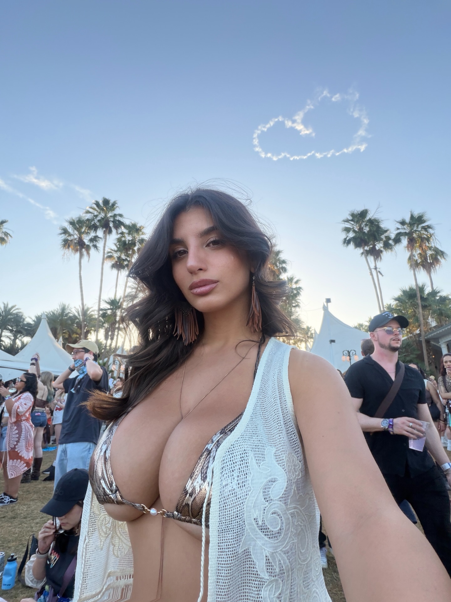 ika_dauria